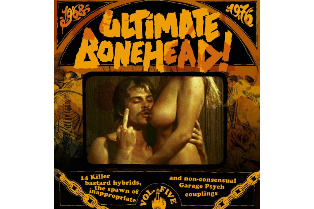 Ultimate Bonehead vol.5 LP
