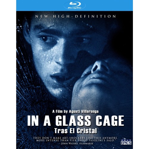 In A Glass Cage In A Glass Cage