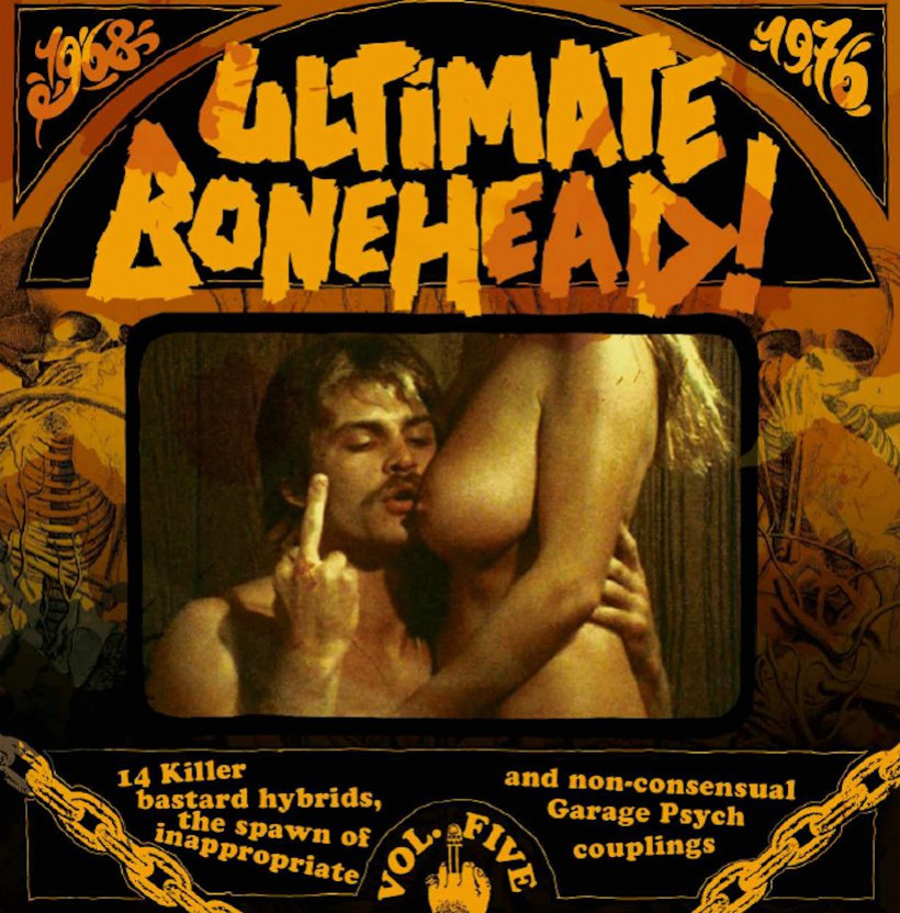 Ultimate Bonehead Volume 5