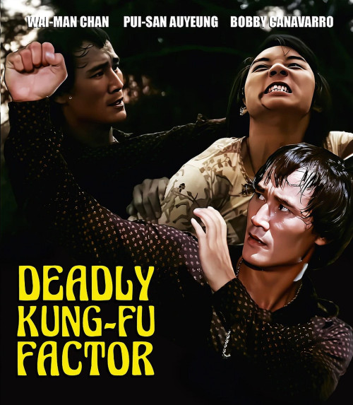 Deadly Kung-Fu Factor (aka The Delivery)