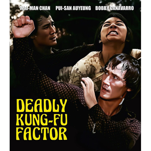 Deadly Kung-Fu Factor (aka The Delivery)