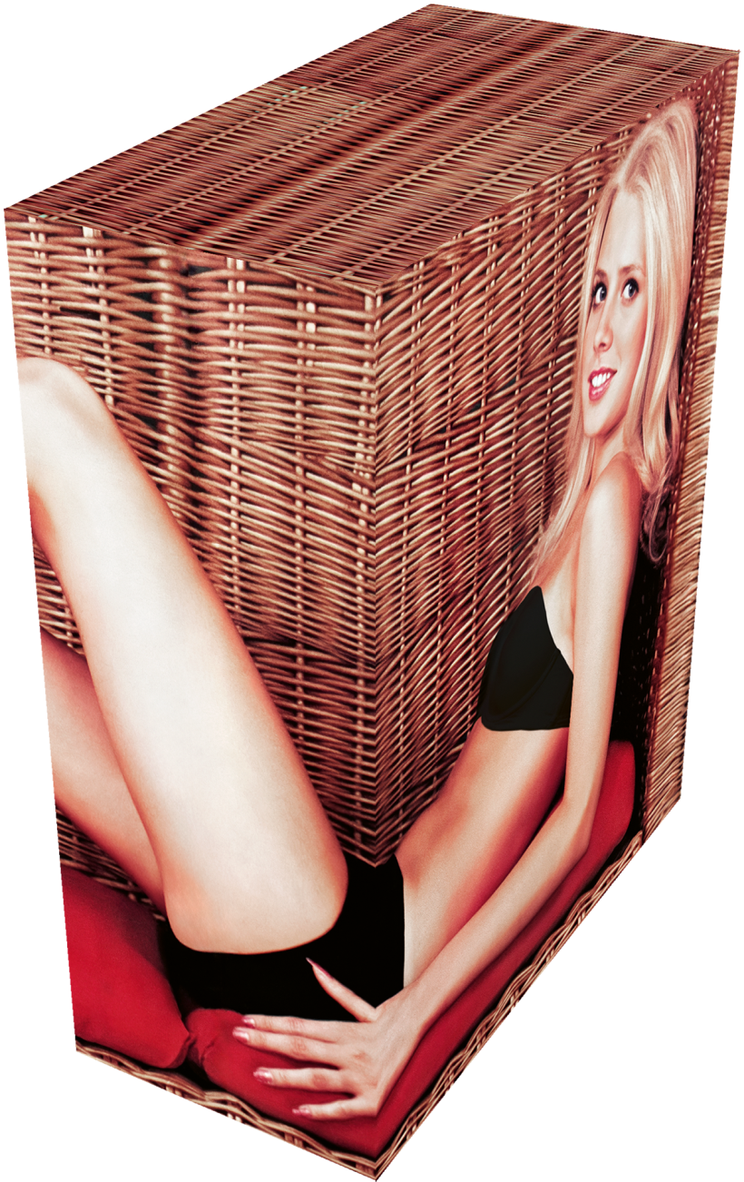 Nikkatsu Sweden Porno Box Set