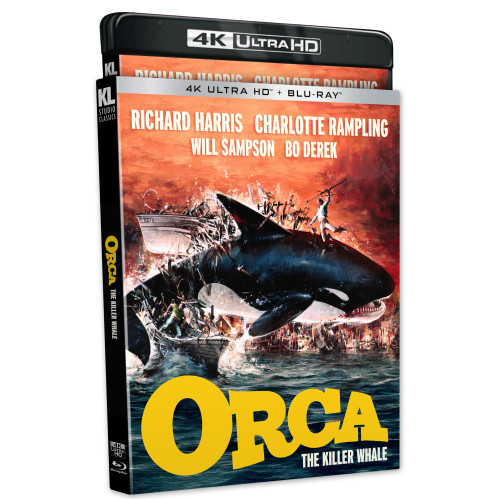 Orca The Killer Whale Orca The Killer Whale