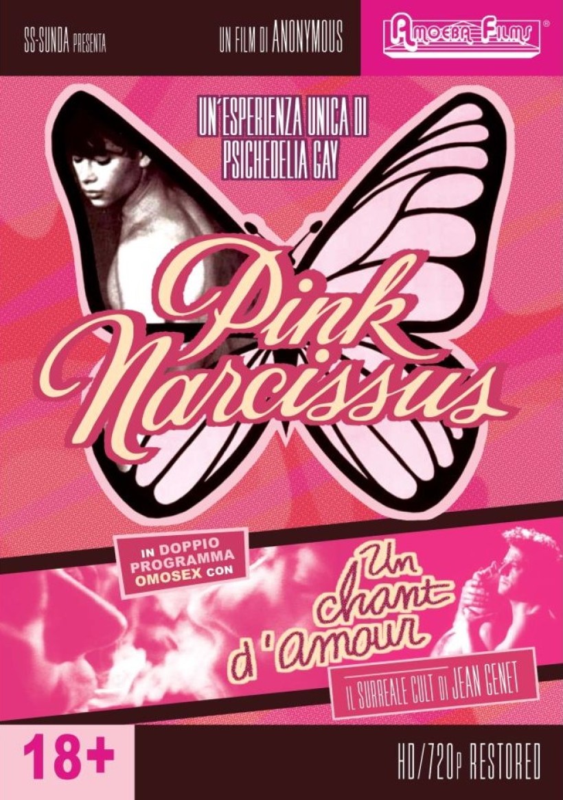 Pink Narcissus & Un Chant D'Amour