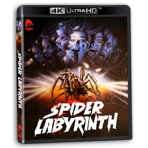 Spider Labyrinth Spider Labyrinth