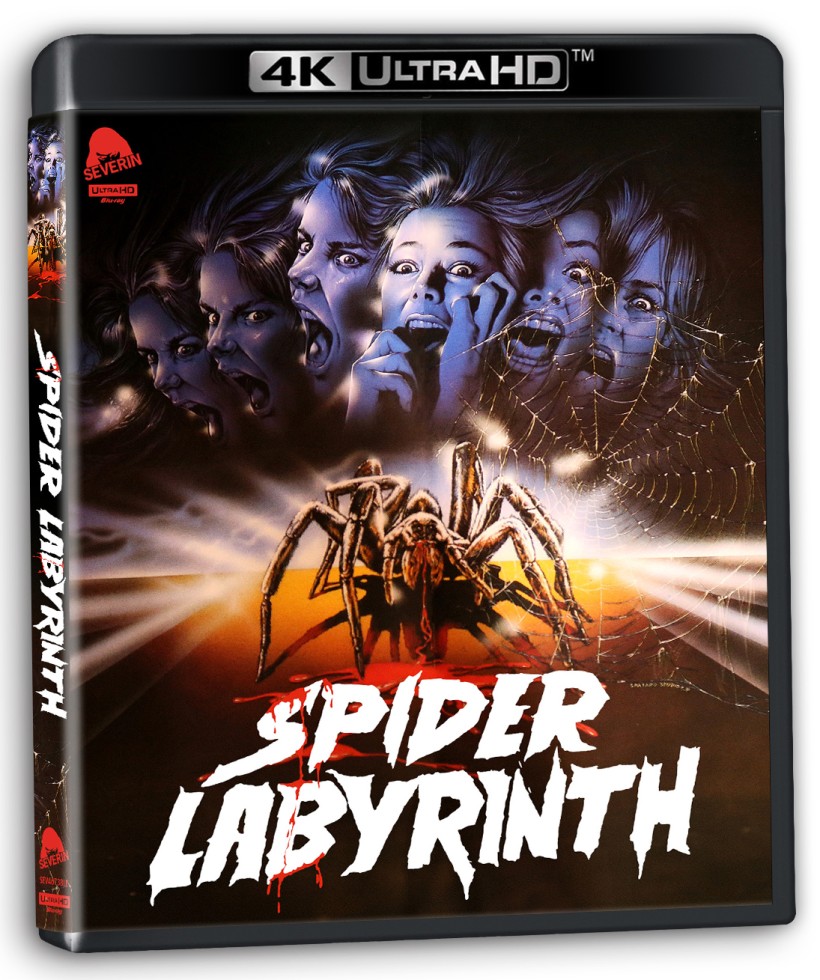 Spider Labyrinth