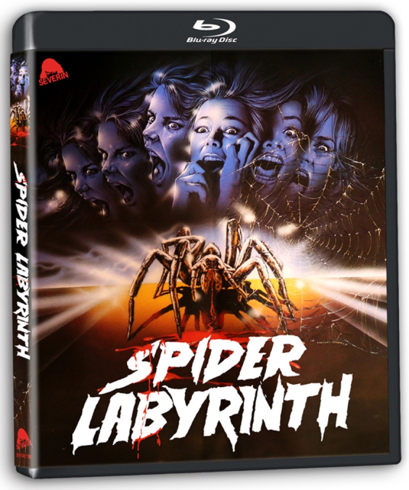 Spider Labyrinth