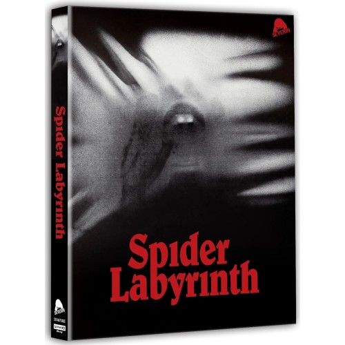 Spider Labyrinth Spider Labyrinth