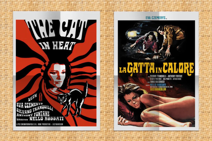 The Cat In Heat aka La Gatta In Calore (Mediabook - Cover B)