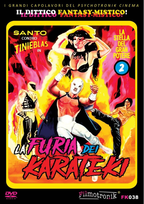 The Fury of the Karate Experts