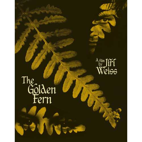 The Golden Fern