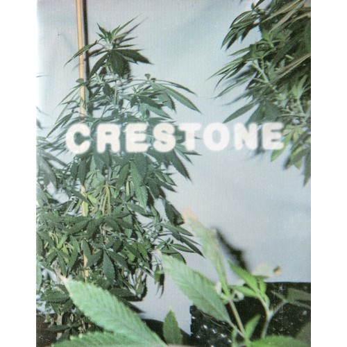 Crestone Crestone